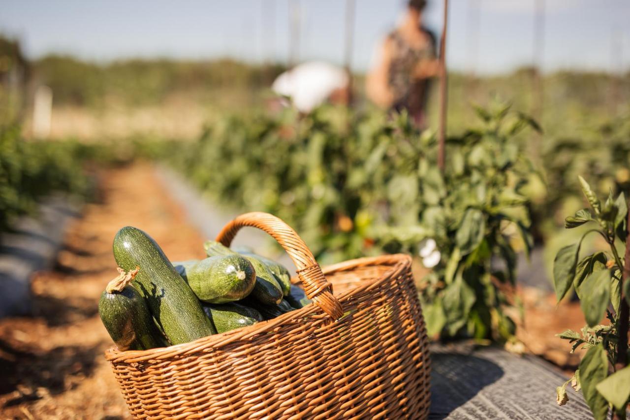 Bed&Breakfast Agroturizam Antunovic Kuna Peljeska ภายนอก รูปภาพ